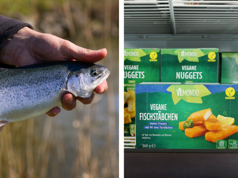 Fisch vs veganer .png