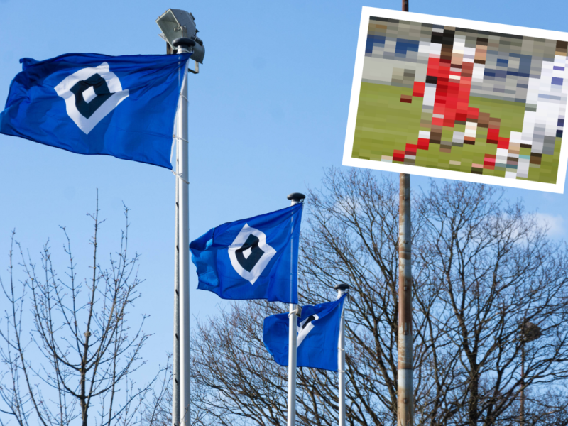 HSV Spieler Flagge.png