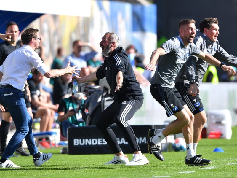Hamburger SV HSV.jpg