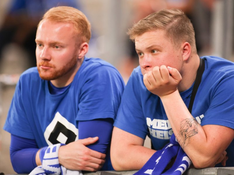 Hamburger Sv HSV.jpg