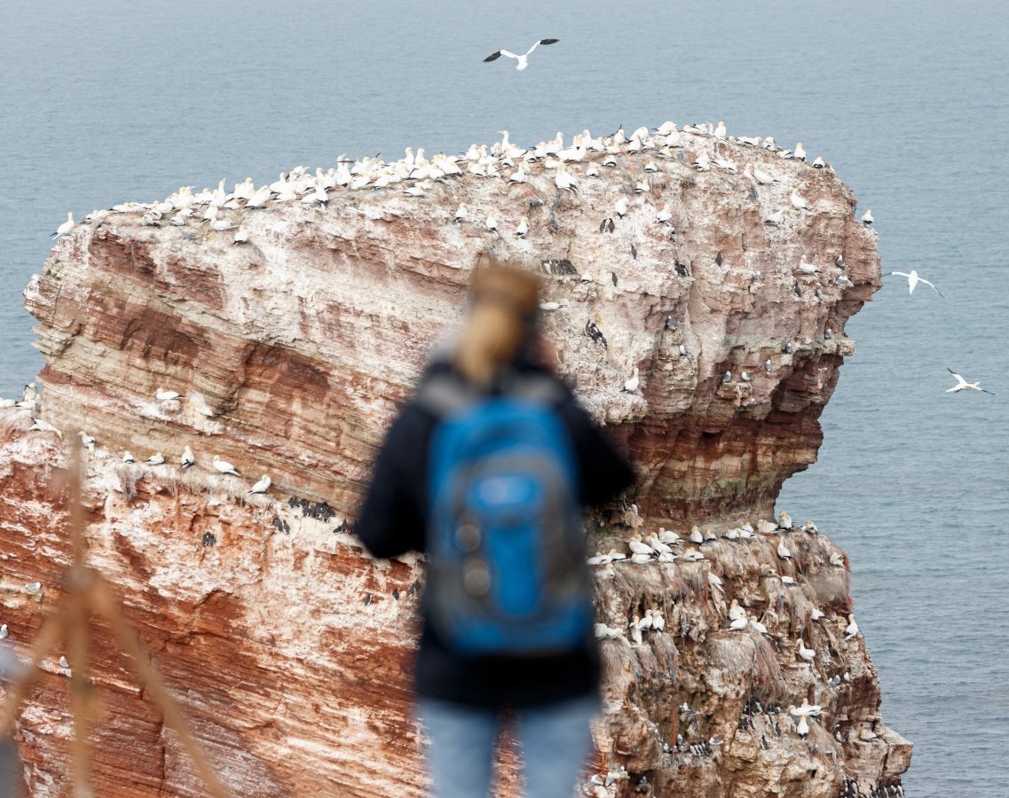 Helgoland.jpg