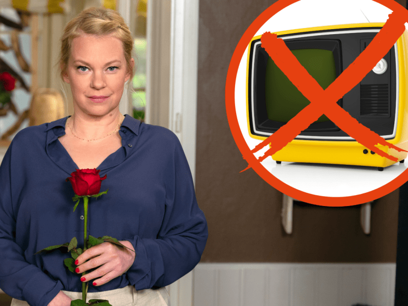Rote Rosen.png