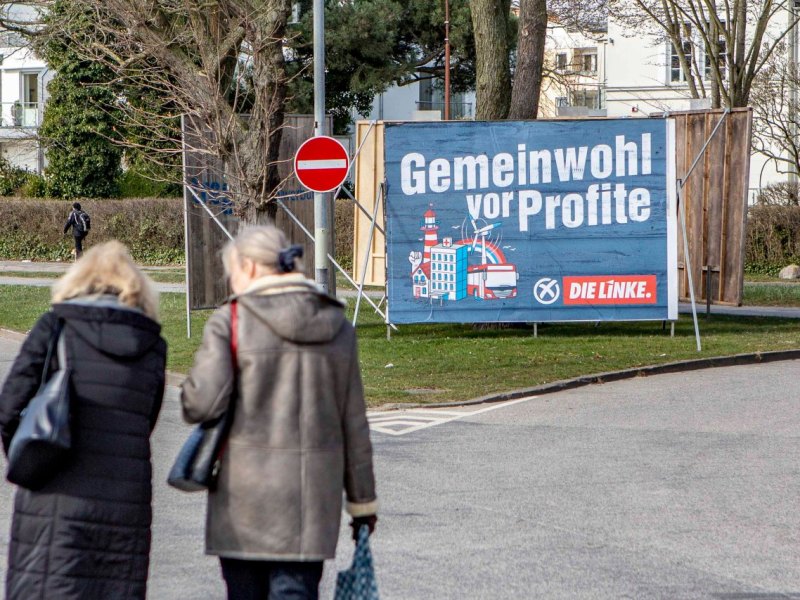 Wahl Schleswig-Holstein die Linke.jpg