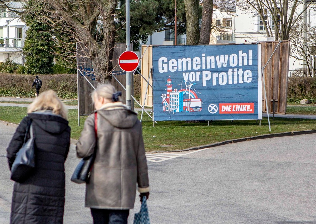 Wahl Schleswig-Holstein die Linke.jpg