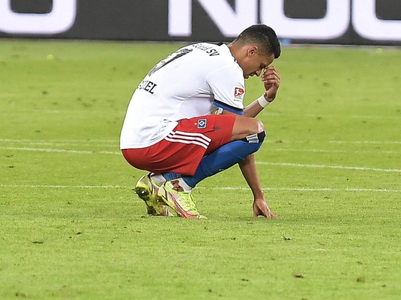 Hamburger SV HSV.jpg