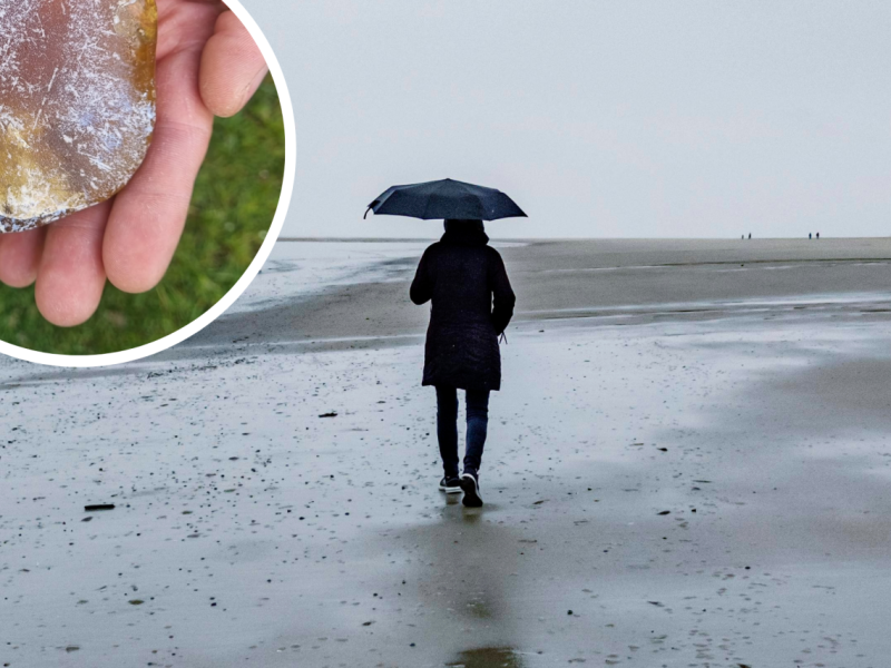 Nordsee Fund.png