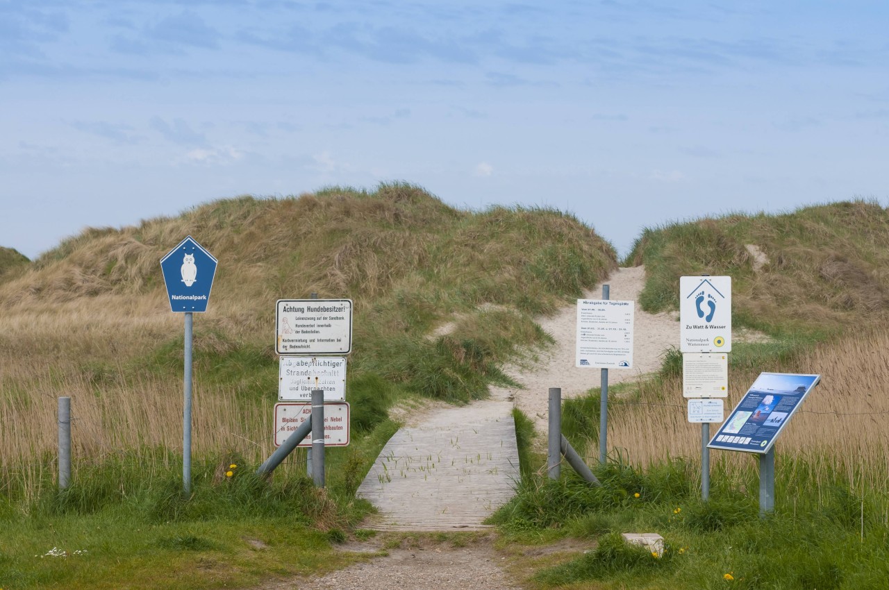 Dünen in Sankt Peter-Ording (SPO) mit diversen Hinweisschildern. Das Betreten ist in der Regel nur auf ausgewiesenen Wegen erlaubt.