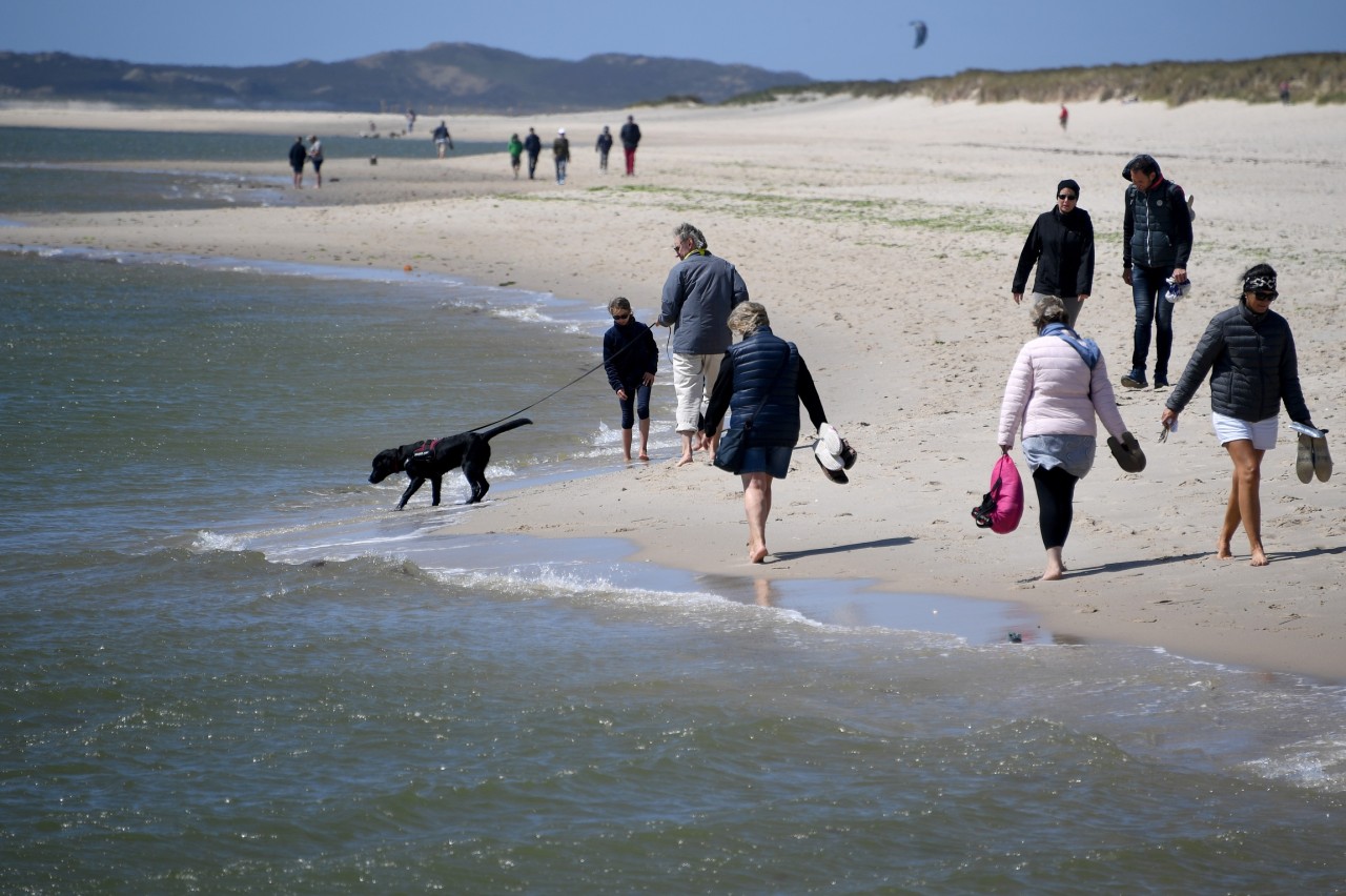 Spaziergänger gehen über den Strand am Ellenbogen auf Sylt. 