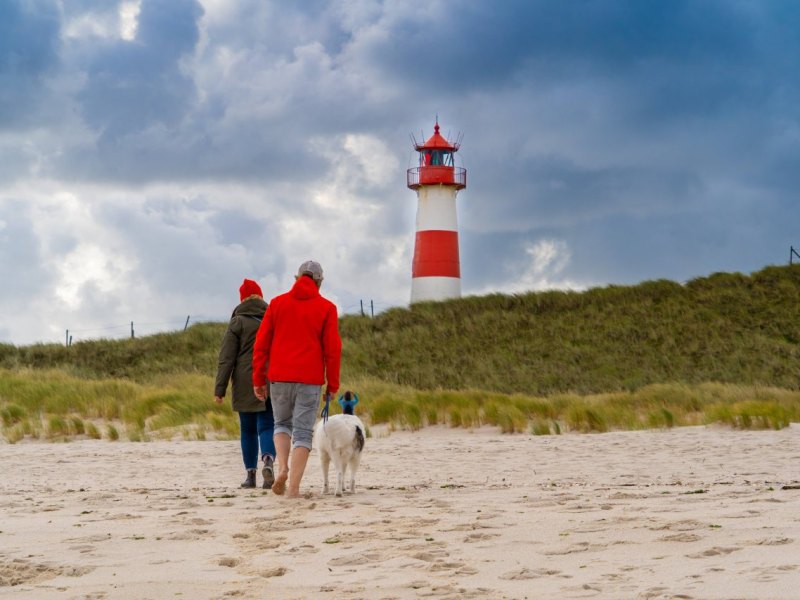 Sylt Hund.jpg