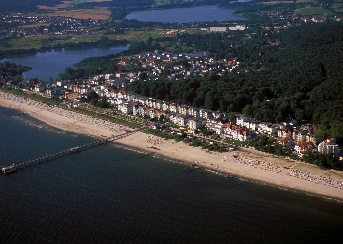 Usedom Ostsee Wald.jpg