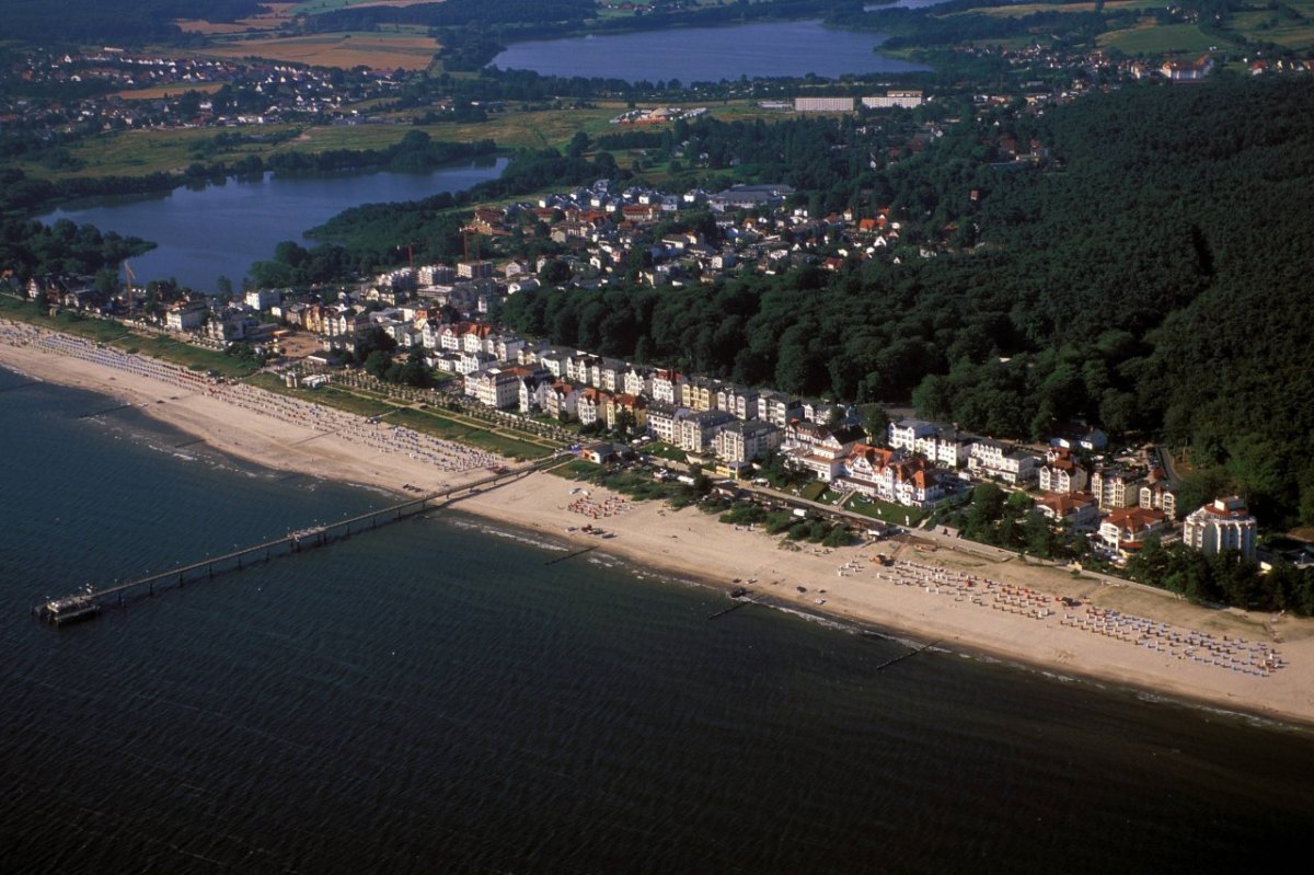 Usedom Ostsee Wald.jpg