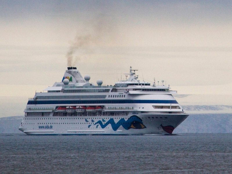 Aida Cara.jpg