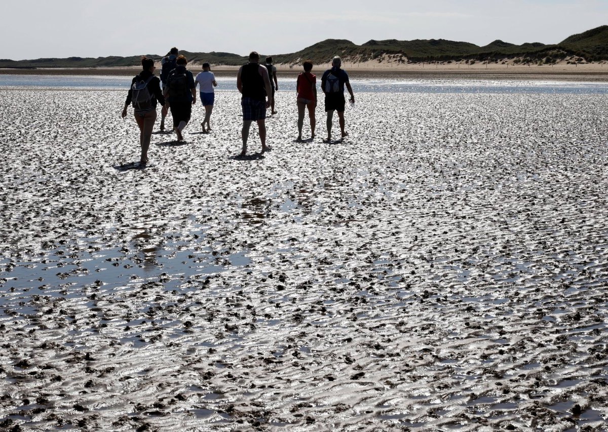 Amrum Nordsee.jpg