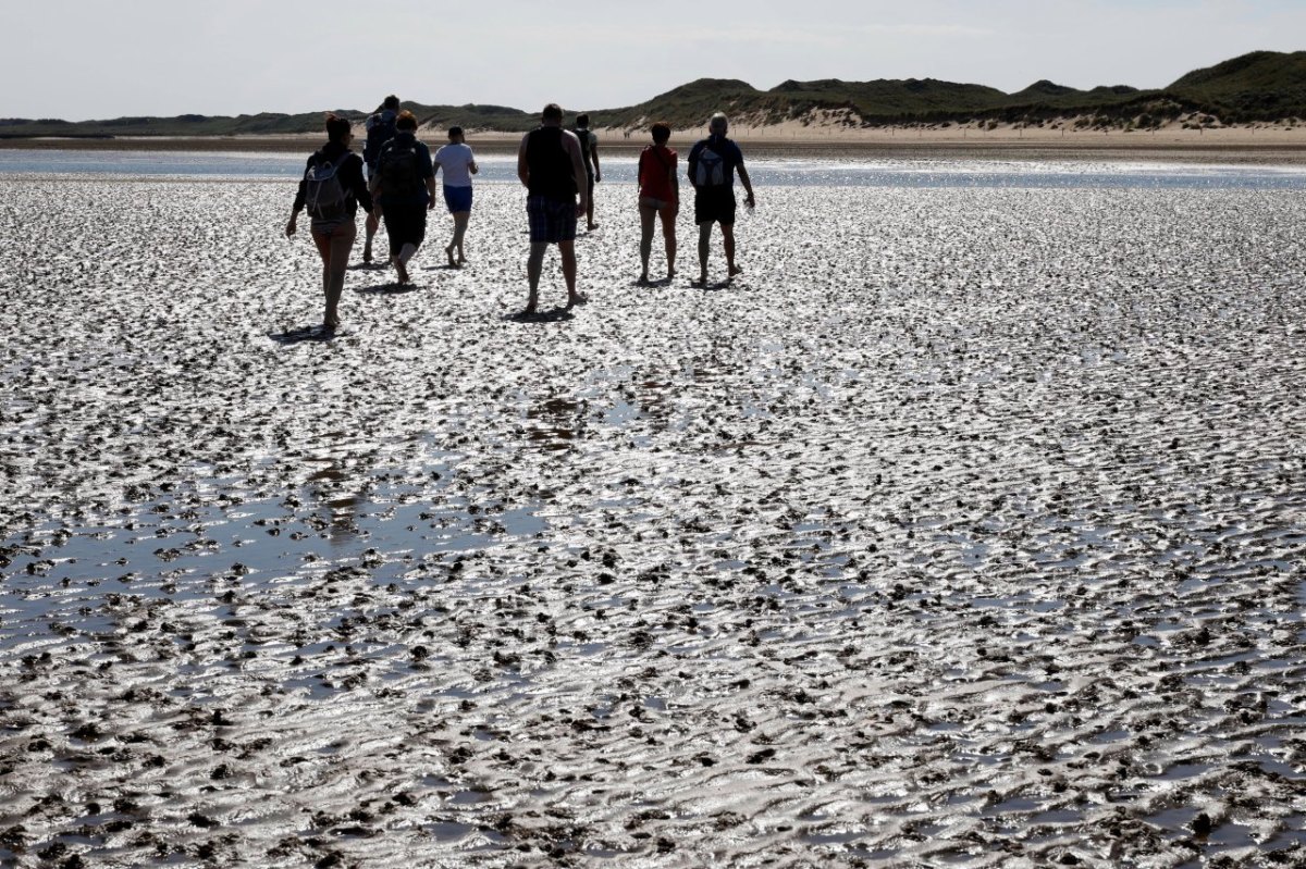 Amrum Nordsee.jpg