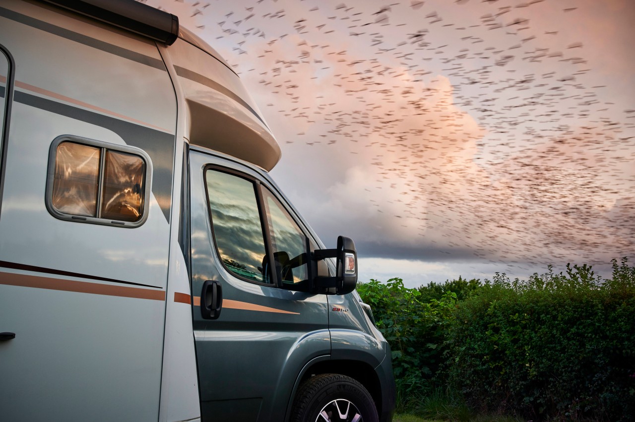 Wo Camping-Freunde ihr Wohnmobil abgestellt hatten, war plötzlich nichts mehr, wie sie es zurückgelassen hatten (Symbolbild).