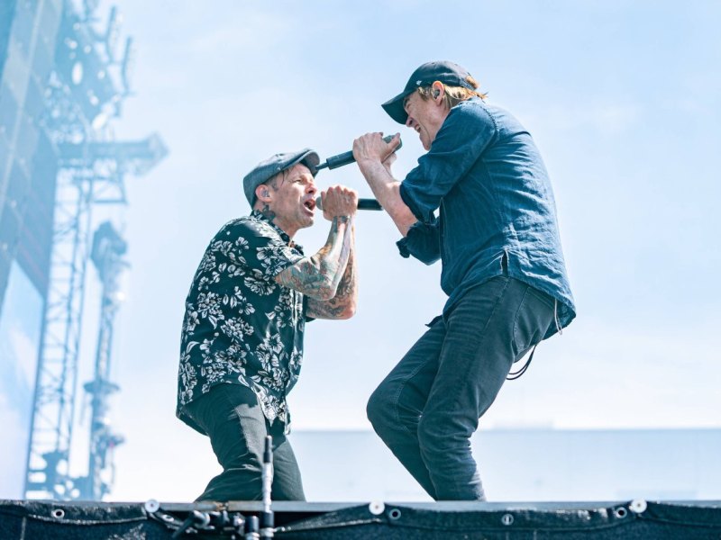 Die Toten Hosen Hamburg.jpg