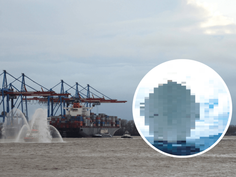 Hamburg Kreuzfahrtschiff theworld.png