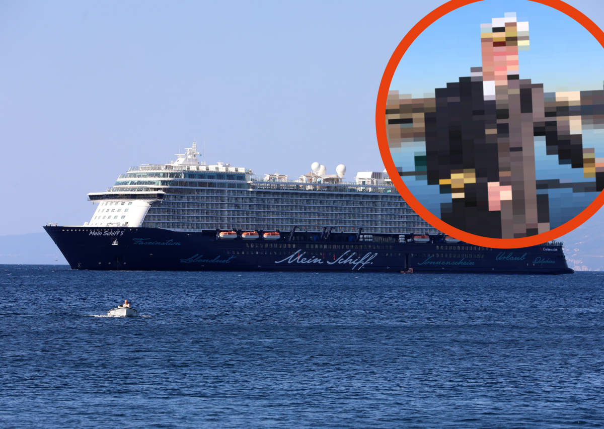 Mein Schiff.png