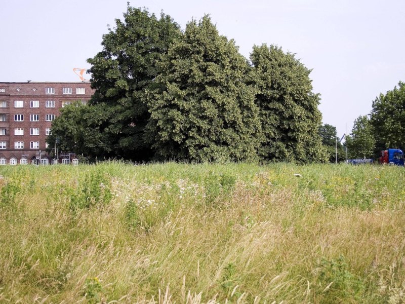 Rothenburgsort Hamburg.jpg
