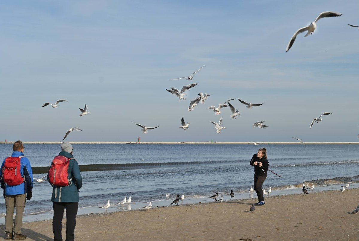 Swinemünde Strand Usedom.jpg