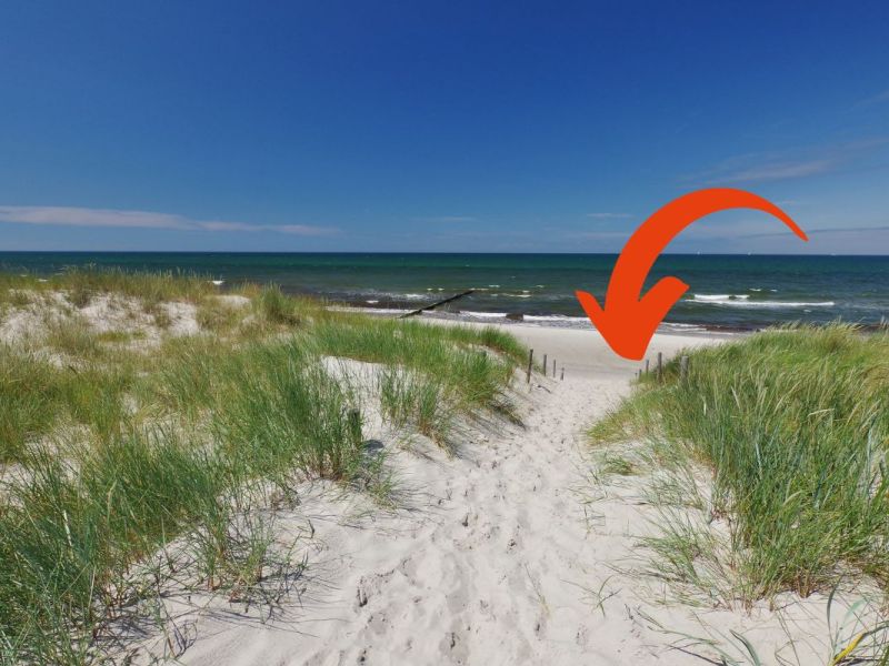 Strand auf Fischland-Darß-Zingst