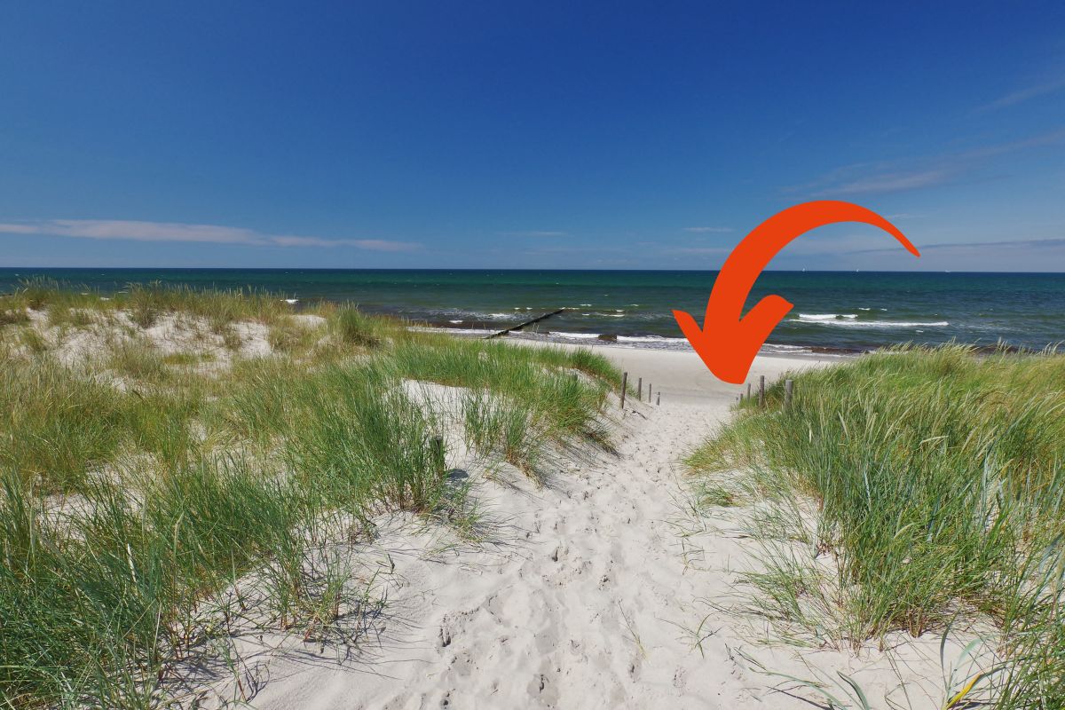 Strand auf Fischland-Darß-Zingst