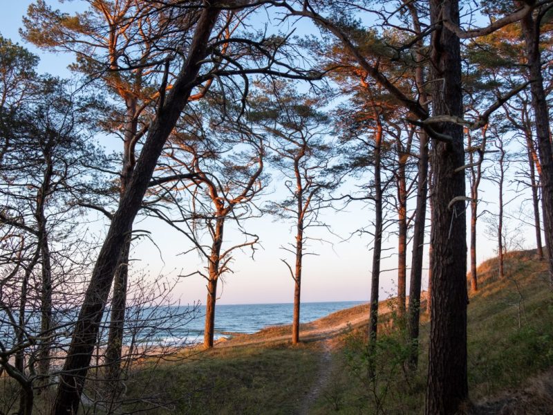 Usedom Zempin