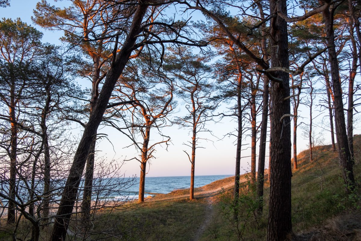 Usedom Zempin