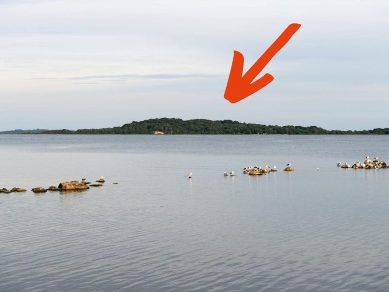 Osstee