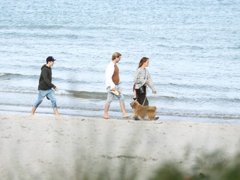 Hunde Timmendorfer Strand