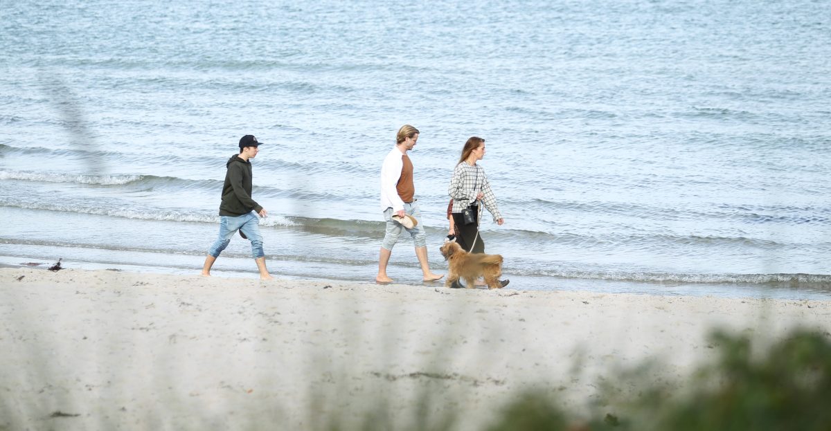 Hunde Timmendorfer Strand