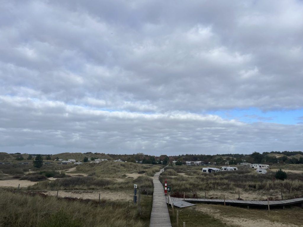 Amrum