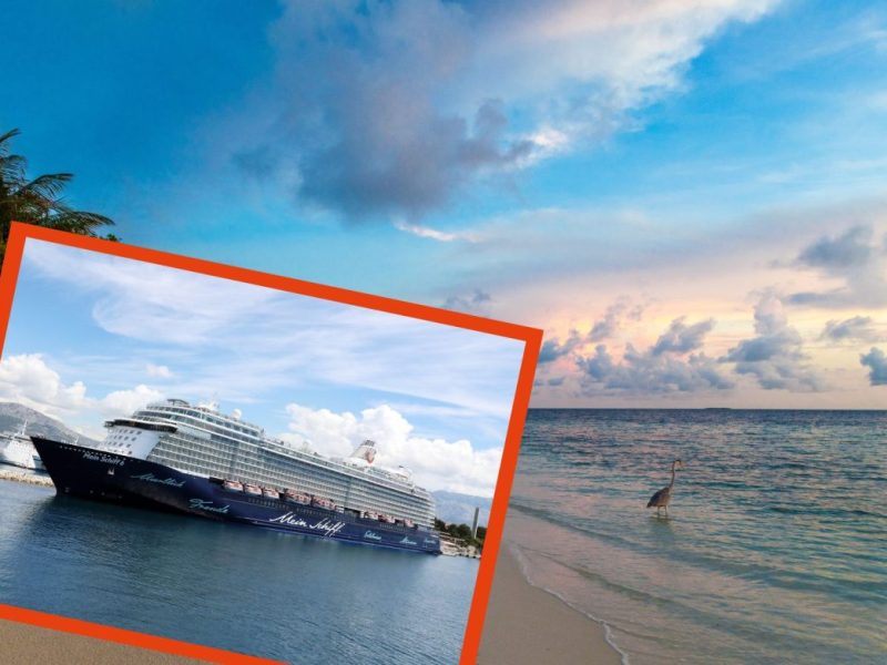 Mein Schiff
