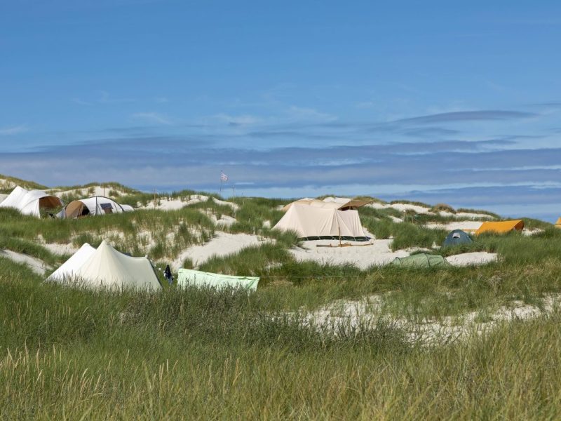 Amrum