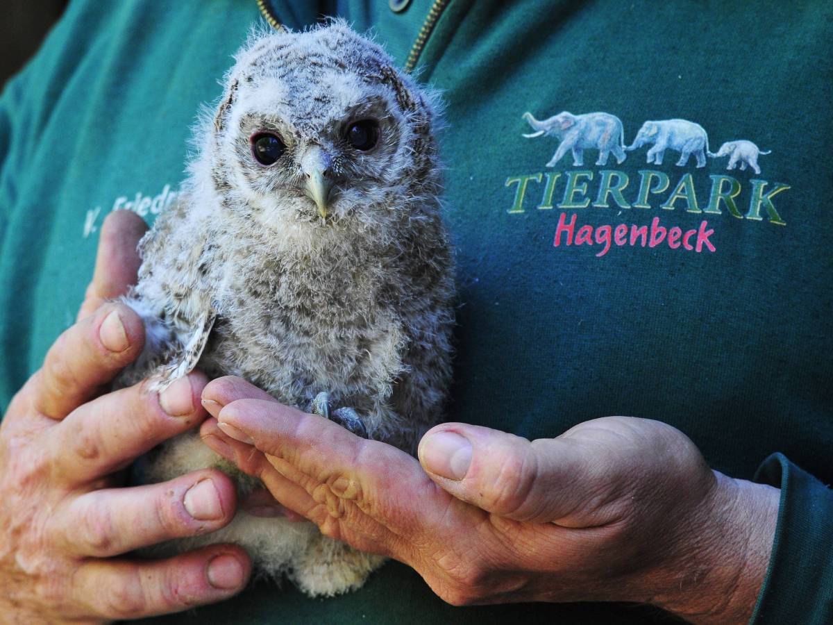 Tierpark Hagenbeck