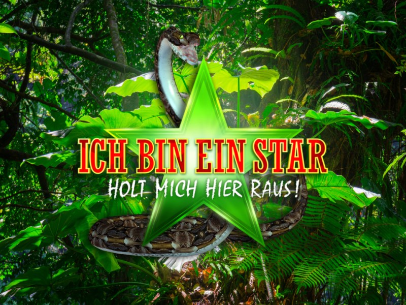 Dschungelcamp