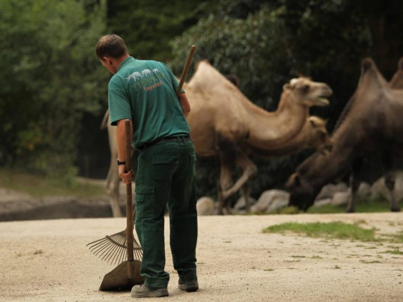 Tierpark Hagenbeck