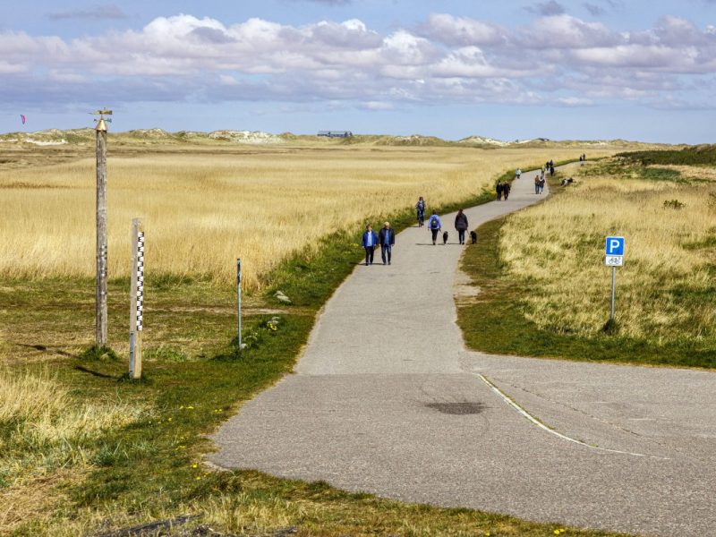Dünenlandschaft in Sankt Peter-Ording