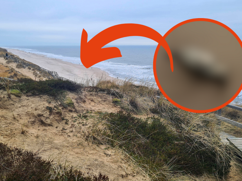 Sylt