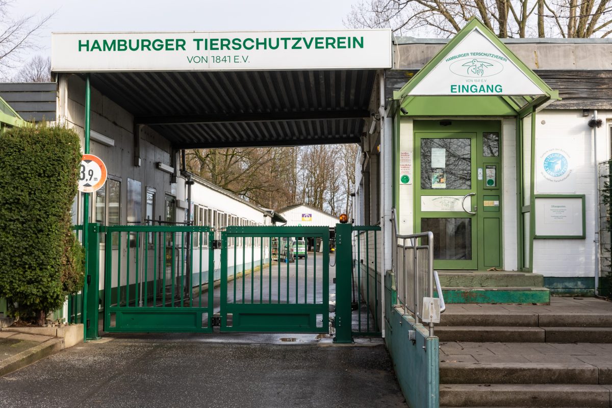 Tierheim Hamburg