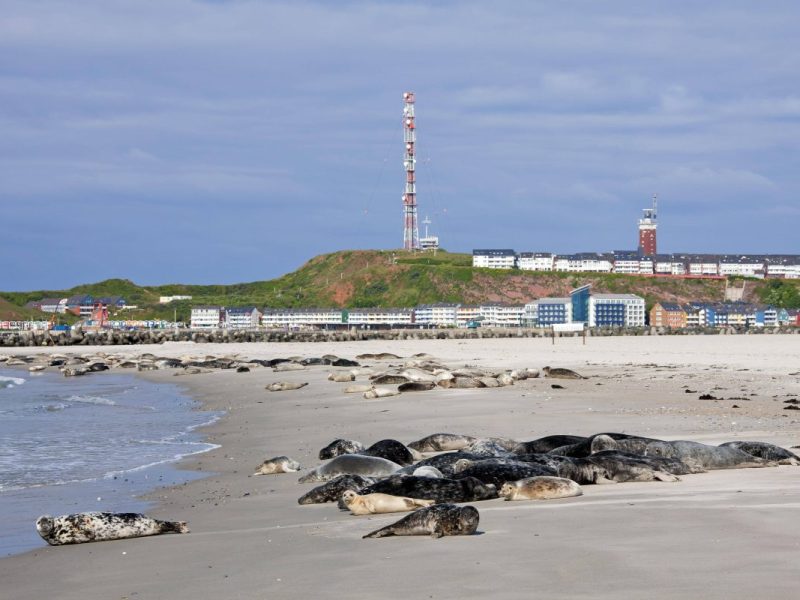 Helgoland