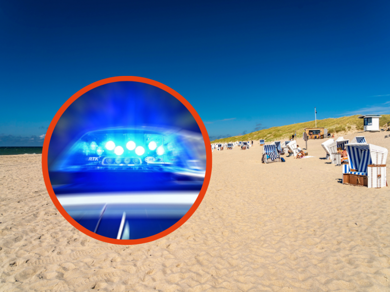 Diebe am Werk bei Sylt.