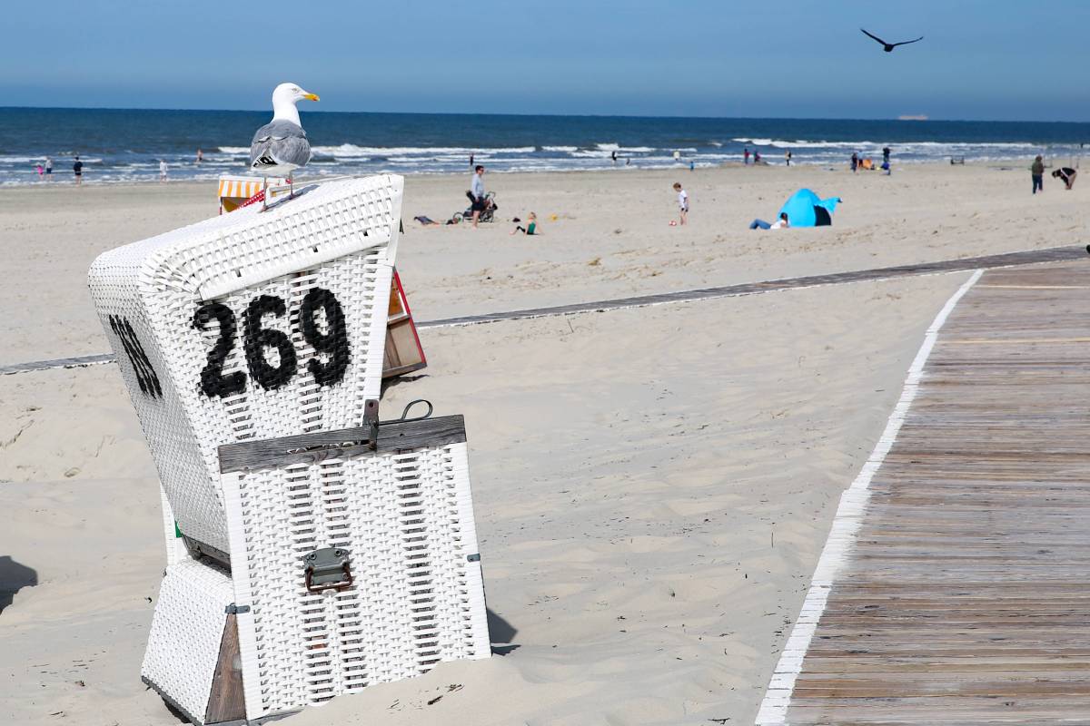 Urlauber entdecken immer weniger Möwen auf der Nordsee-Insel.