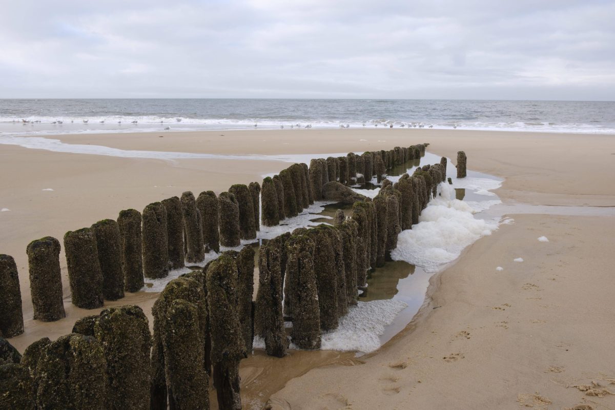 Das Thema der Stunde: Küstenschutz auf Sylt.