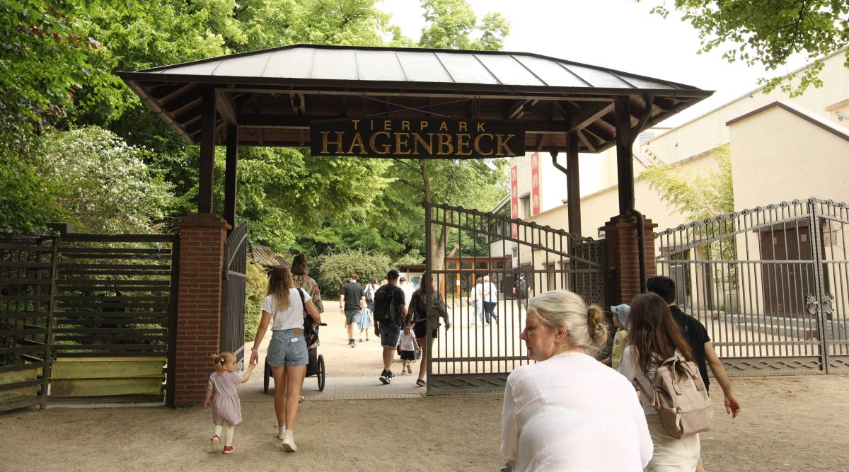 Tierpark Hagenbeck muss sich von diesem ehemaligen Bewohner verabschieden.