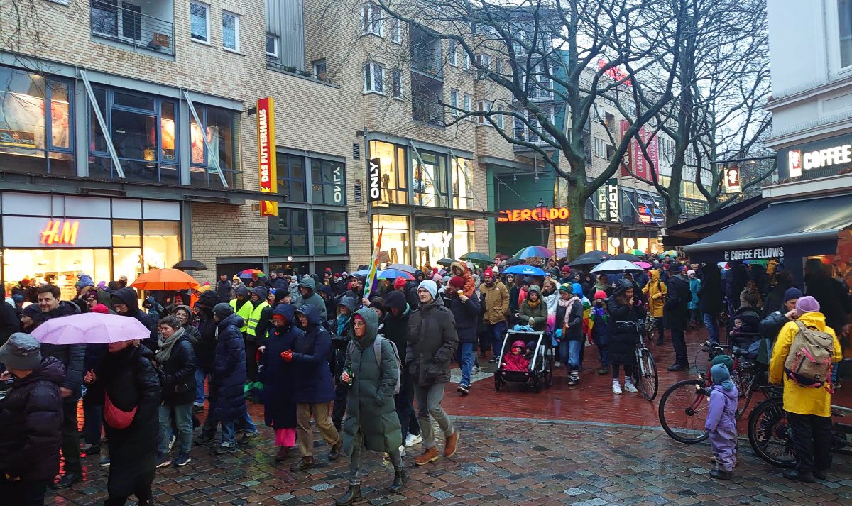 Demonstrationen gegen rechts - Hamburg