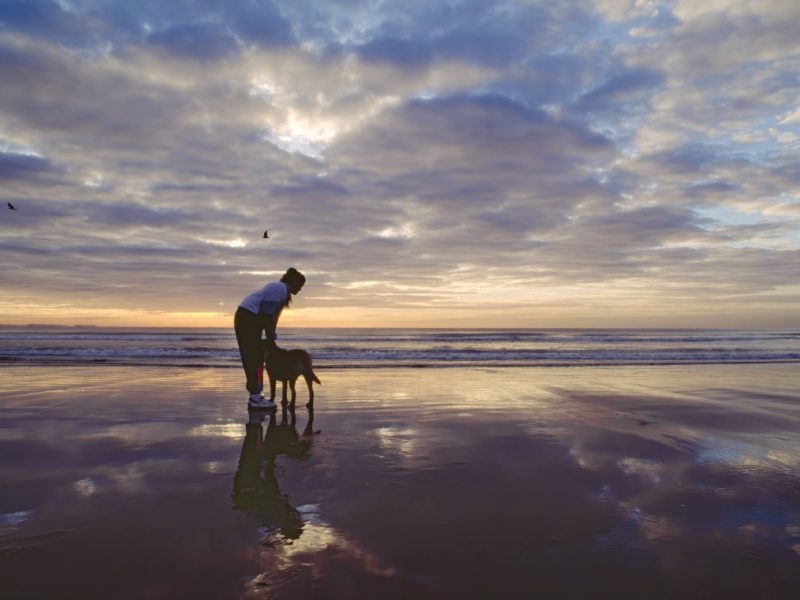 Die zehn besten Hundestrände an der Ostsee und Nordsee