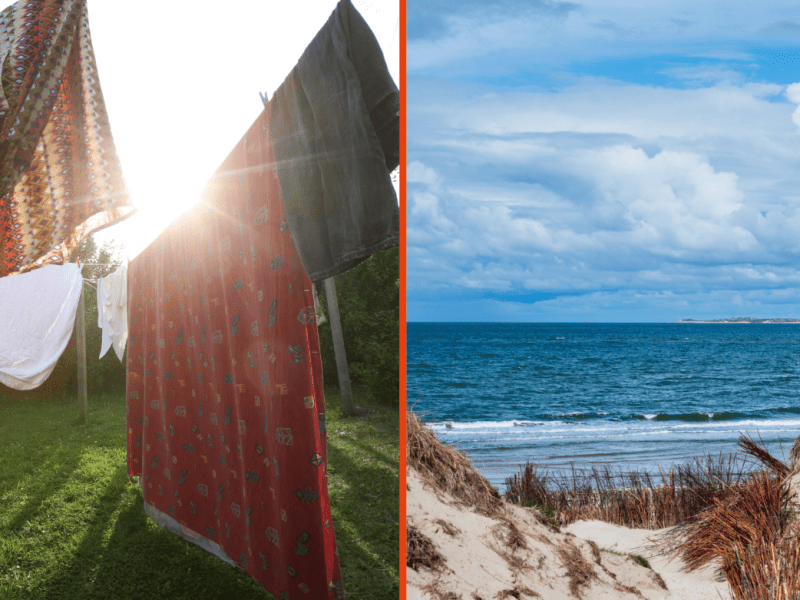 Sylt