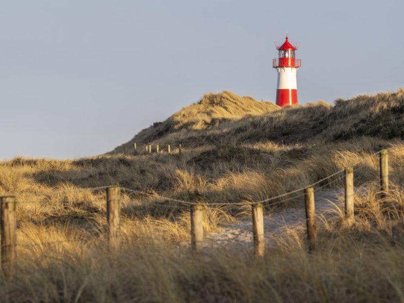 sylt