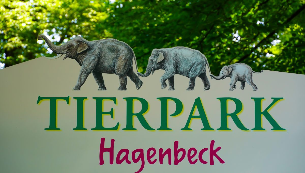 Tierpark Hagenbeck